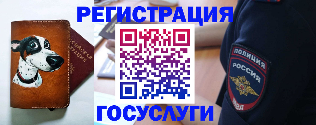временная регистрация в квартире в Хилке